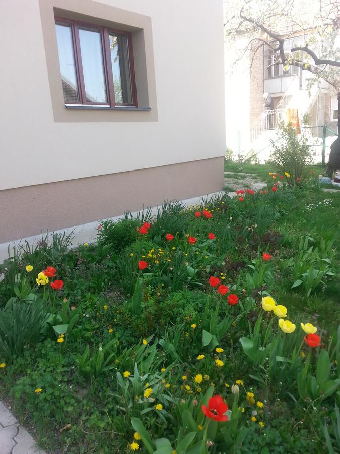 Sweet Dreams Apartment Arandjelovac Exterior photo